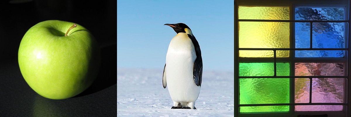 Apple, Penguin, Window